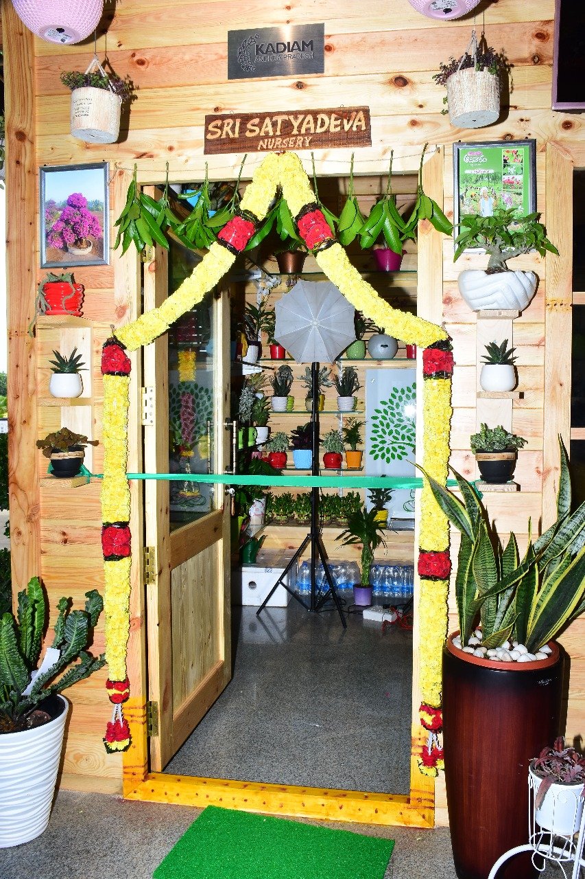 RAJAMUNDRY AIRPORT NURSERY STALL STYADEVA NURSERY KADIYAM AP